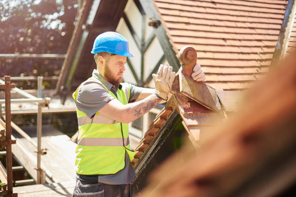 Best Roof Gutter Cleaning  in Plantsville, CT